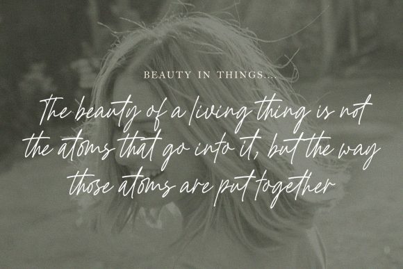 Golden Hopes: The Script Font That Adds Instant Charm